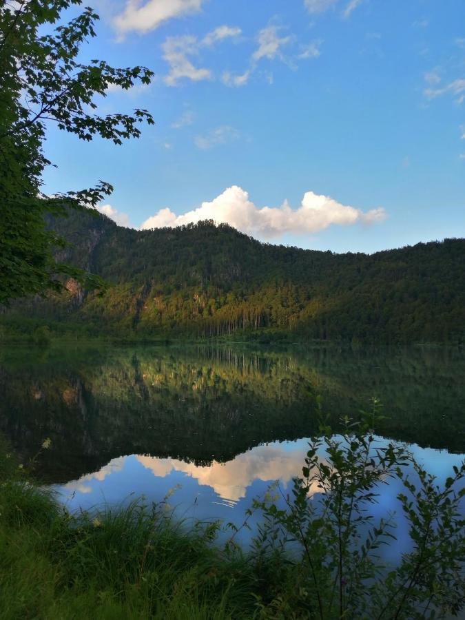 Grünau im AlmtalBuehlhaeuslアパートメント エクステリア 写真